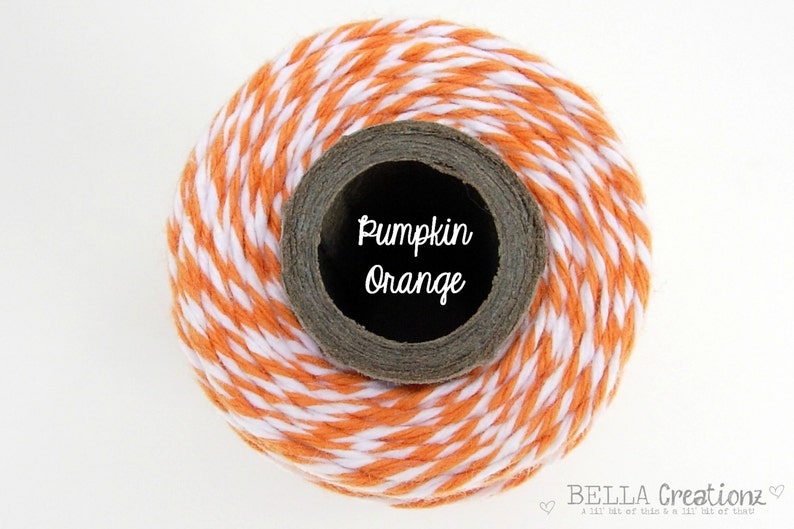 Pumpkin Orange Bakers Twine TIMELESS TWINE image 1