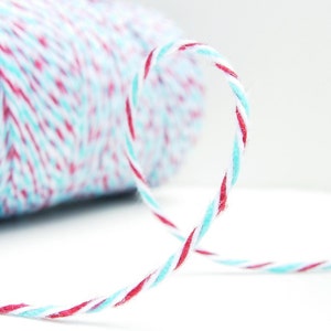 Aqua Blue and Red Bakers Red White and Blue Twine by Timeless Twine image 1