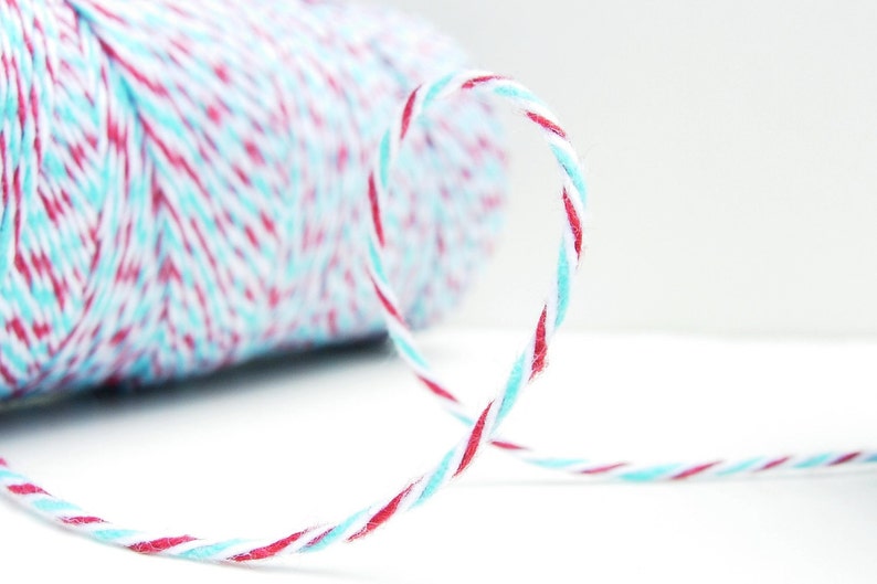 Aqua Blue and Red Bakers Red White and Blue Twine by Timeless Twine image 1