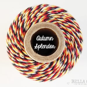 VENDITA - Autumn Splendor Bakers Twine di Timeless Twine - 1 bobina (160 iarde)