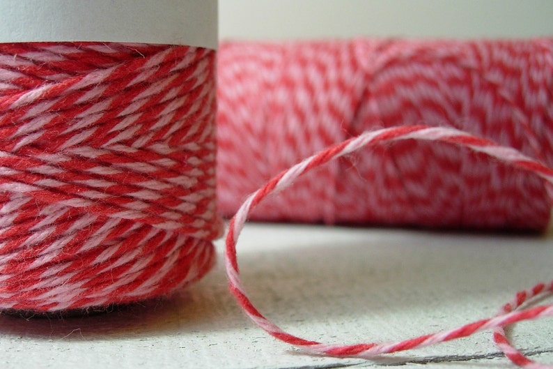 Valentine's Day Bakers Twine by Timeless Twine Strawberry Cupcake Valentine's Twine image 1