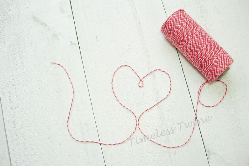 Valentine's Day Bakers Twine by Timeless Twine Strawberry Cupcake Valentine's Twine image 3