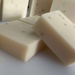 Eucalyptus & Aloe ~ Handmade Cold Process Soap