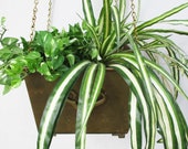 Vintage Brass Indoor Outdoor Hanging Planter Pot Home Accent Vintage Home and Living Brass Display Planter Hanging Indoor Garden Accent