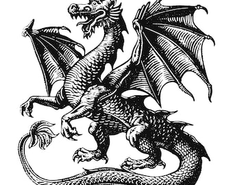 Holzschnitt Illustration eines mittelalterlichen Drachen. Vintage Grunge-Design-Element. Digitale EPS-, JPG- und PNG-Datei.