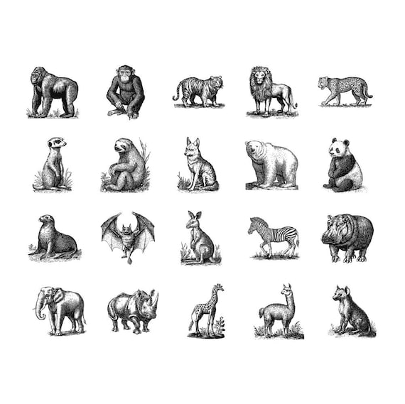 Animals in black and white【ヴィンテージ・木版画集】 Set of Woodcut Illustrations of Animals. Vintage Grunge Vector