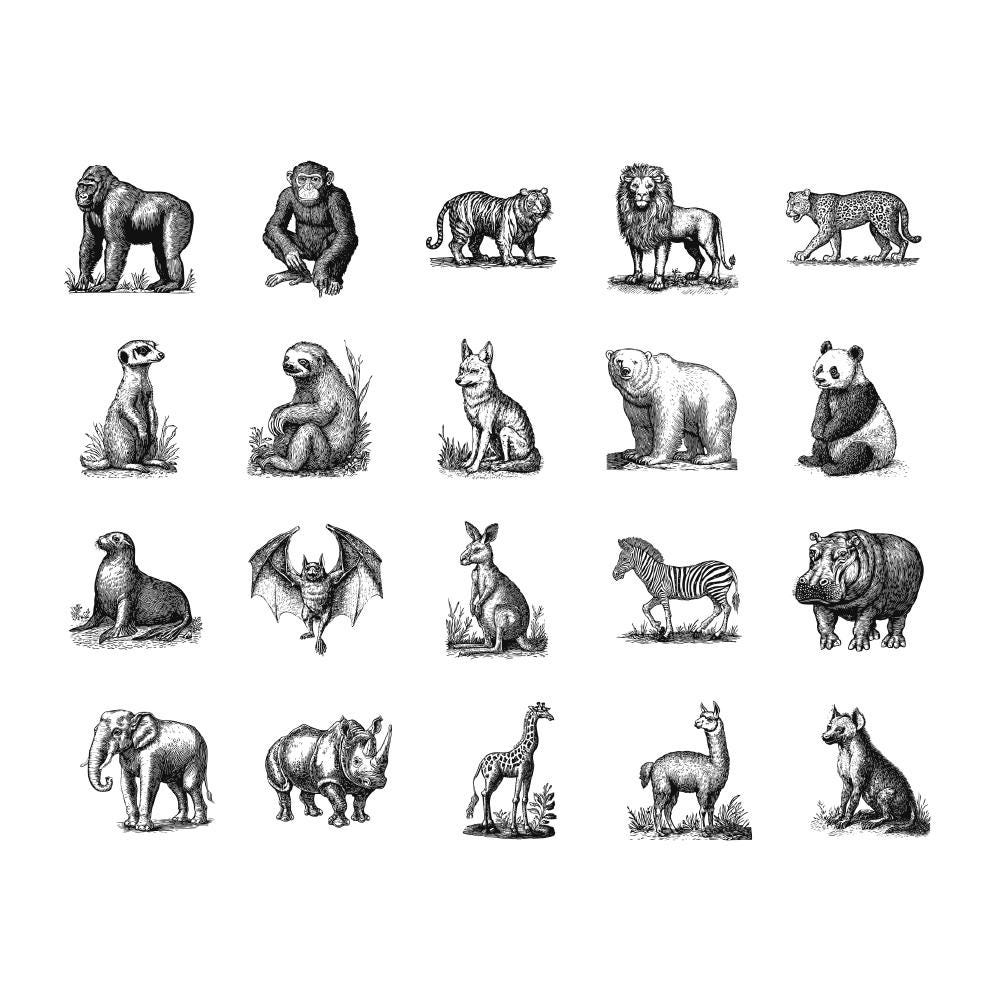 Animals in black and white【ヴィンテージ・木版画集】 il_fullxfull.6604999338_g8yz.jpg