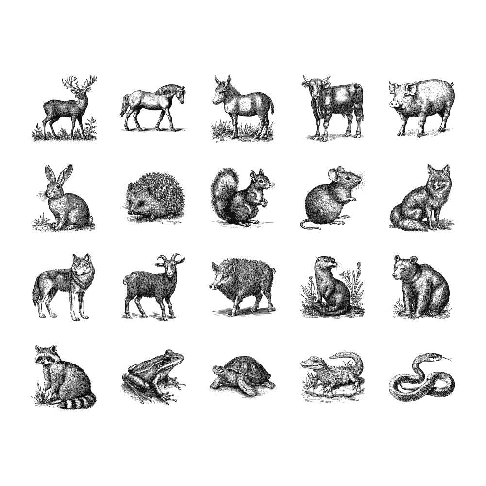 Set of Woodcut Illustrations of Animals. Vintage Grunge Vector