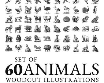 Animals in black and white【ヴィンテージ・木版画集】 狼の木版画イラスト。ビンテージ グランジ ベクター デザイン要素