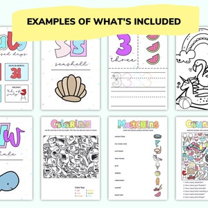 May include: A set of printable summer-themed educational worksheets for kids. The worksheets include activities like coloring, matching, counting, and tracing numbers. The worksheets feature images of a seashell, a whale, a flamingo, a unicorn, and ice cream cones.