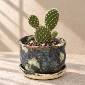 May include: A small green prickly pear cactus with three pads planted in a round, dark ceramic pot with a mottled black, green, and brown glaze. The pot sits on a matching circular saucer, and the soil is covered with small dark pebbles.