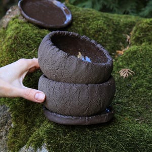 Textured Ceramic Succulent Planter Set of 2 with Saucers, Dark Clay Pots wabi sabi
