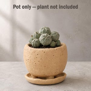 Keramik-Pflanzgefäß mit Untersetzer, gesprenkelter Sukkulententopf, Wabi-Sabi-Pflanztopf