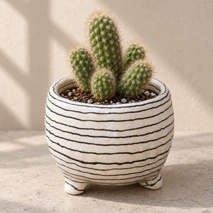 Black and White Striped Ceramic Planter with Drainage and Saucer, Modern Indoor Plant Pot