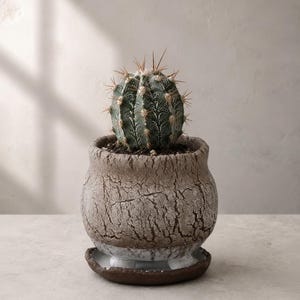 Ceramic Succulent Planter with Drainage & Saucer | Wabi Sabi Pot | Handmade Cracked Clay Cactus Planter