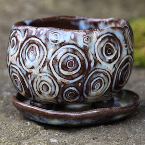 May include: A small, round ceramic planter with a glossy finish, featuring a dark brown base colour and a repeating pattern of raised, light blue and white concentric circles. The planter sits on a matching circular saucer with a raised edge.