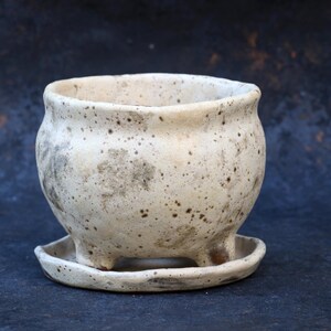 Speckled Ceramic Succulent Planter with Drainage & Saucer, Footed Plant Pot