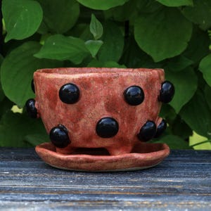 May include: A handmade ceramic planter with a reddish-brown glaze and black, rounded accents. The planter sits on a matching saucer and has small feet. The background features green foliage, suggesting an outdoor setting. This decorative piece is suitable for small plants.