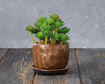 Small Plant Pot | Ceramic Succulent Pot, Drainage | Minimalist Planter with Tray