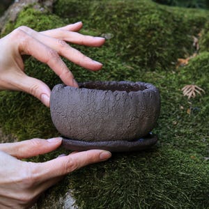 May include: A small, dark brown ceramic planter with a textured surface, held by hands against a backdrop of green moss. The planter has a rounded shape with a matching saucer. Ideal for small plants or succulents.