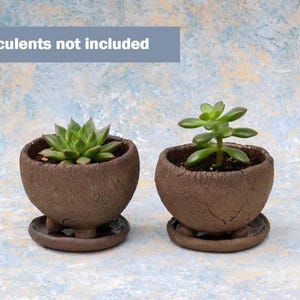 May include: Two small, brown, textured ceramic pots with attached saucers, each holding a succulent plant. The pots have a rounded shape and sit on a light blue and white background. The text "Succulents not included" is in a blue rectangle.