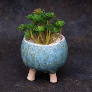 Può includere: Un piccolo vaso rotondo in ceramica blu, macchiato di marrone, con tre gambe corte. Contiene una pianta succulenta verde. Il vaso è riempito di ciottoli bianchi. Il vaso misura circa 10 cm di diametro.
