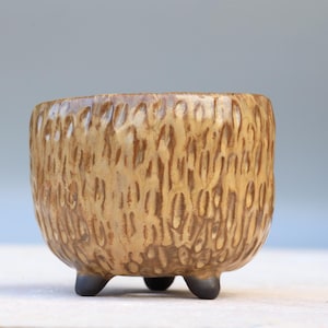 May include: A small, round, tan-colored ceramic planter with a textured, carved exterior featuring vertical indentations. The vessel is supported by three short, dark brown, rounded feet that elevate the base from the surface.