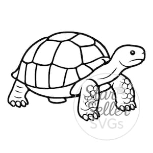 Op de afbeelding: Zwart-wit illustratie van een schildpad. De schildpad heeft een gesegmenteerd schild, een kop met een klein oog en vier poten met gedetailleerde voeten. De afbeelding is in een lijntekeningstijl.