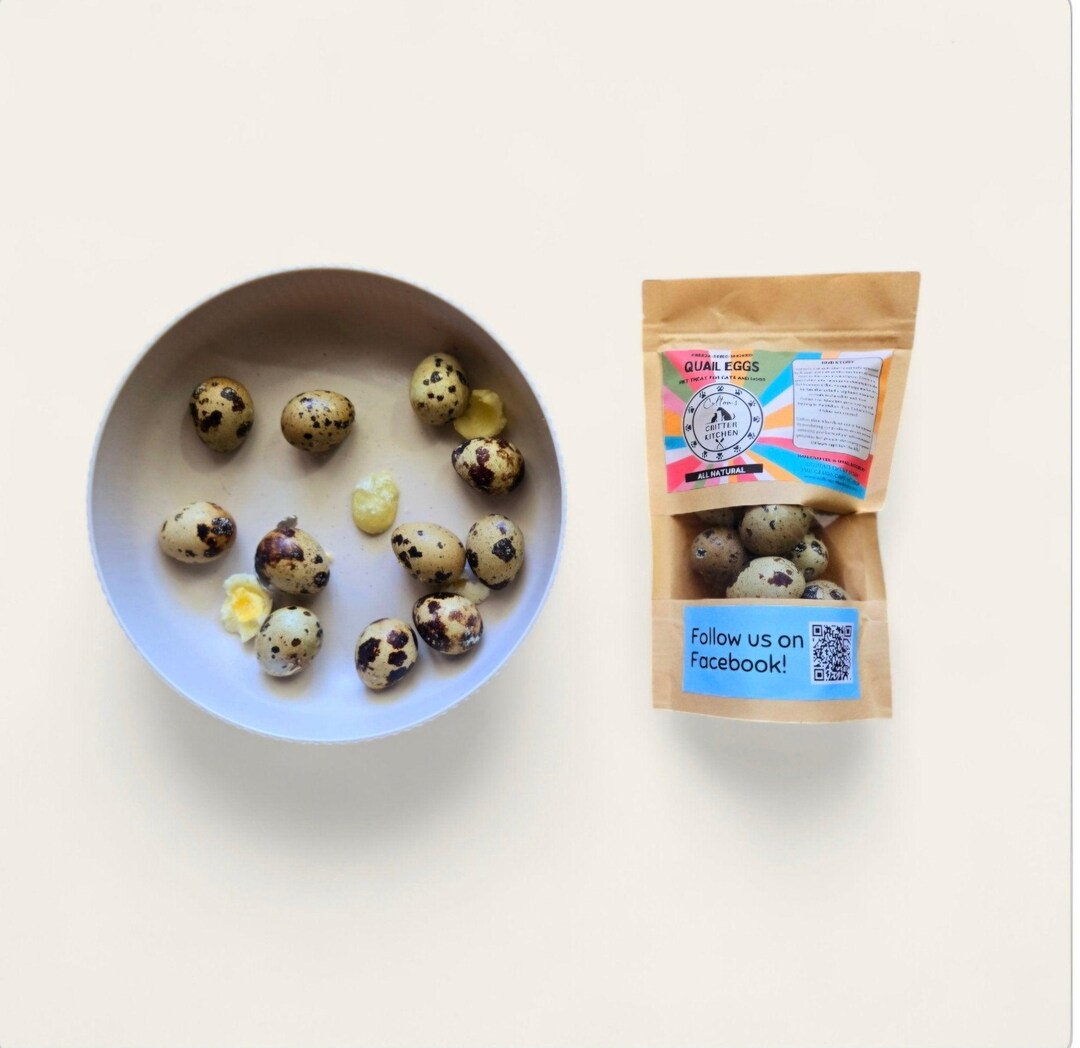 Freeze Dried Quail Egg Pet Treats Freeze Dried Pet Treats Dog Treats - Etsy