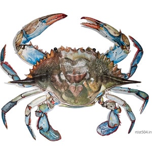 印刷や結婚式用に、私の水彩画「Blue Crab」の高解像度デジタル画像をダウンロードしてください。