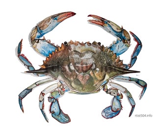 High resolution digital image download of my watercolor painting "Blue crab" for printing and weddings.