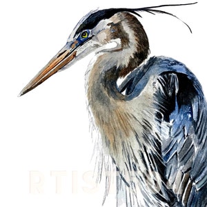 High resolution digital image download of my watercolor painting "Blue Heron 1"