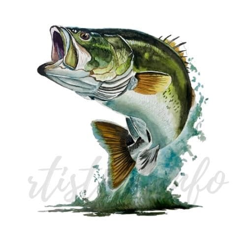 High Resolution Digital Image Download of My Watercolor Painting bass Fish  Bass Print, Bass Art, Bass Painting Rtist504 -  Canada
