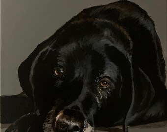 Realistic Hand-Painted Pet Portrait on Canvas