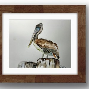 Brown Pelican painting,  11 x 14 watercolor on paper hand-painted by me, Rob  - original art