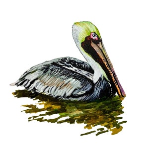 High resolution pelican digital image download of my marker painting "Pelican vibes" pelican print, bird poster, bird merchandise