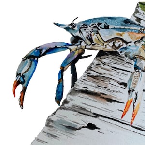 High resolution digital image download of my watercolor painting "Blue crab on deck"