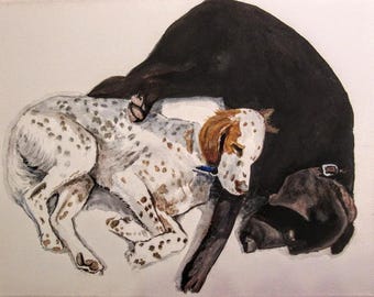 Pet Memorial Portrait – Hand Painted from Photo