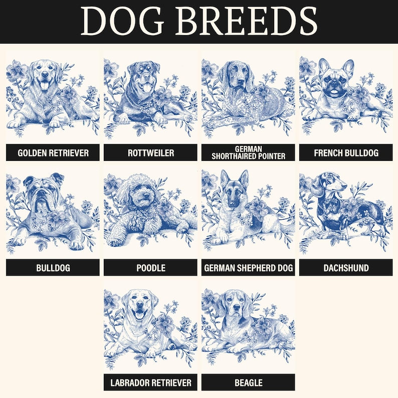 May include: A grid of ten blue and white illustrations of dog breeds titled DOG BREEDS. Each section features a specific dog breed including Golden Retriever, Rottweiler, German Shorthaired Pointer, French Bulldog, Bulldog, Poodle, German Shepherd Dog, Dachshund, Labrador Retriever, and Beagle, all surrounded by floral elements.