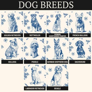 K&ouml;nnte beinhalten: Poster mit blau-wei&szlig;en Illustrationen von Hunderassen wie Golden Retriever, Rottweiler, German Shorthaired Pointer, French Bulldog, Bulldogge, Pudel, Deutscher Sch&auml;ferhund, Dackel, Labrador Retriever und Beagle. Der Titel "DOG BREEDS" steht oben.