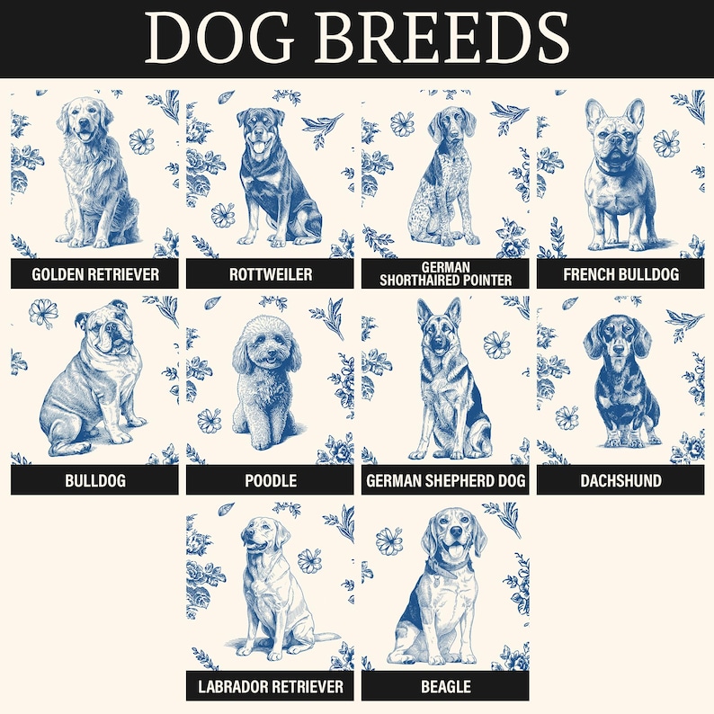 K&ouml;nnte beinhalten: Poster mit blau-wei&szlig;en Illustrationen von Hunderassen wie Golden Retriever, Rottweiler, German Shorthaired Pointer, French Bulldog, Bulldogge, Pudel, Deutscher Sch&auml;ferhund, Dackel, Labrador Retriever und Beagle. Der Titel "DOG BREEDS" steht oben.