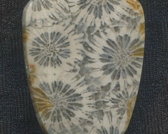 Distinctive Agatized Coral Designer Cabochon from Indonesia