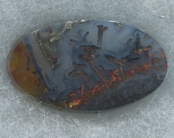 Rare Trent Agate Designer Cabochon from Oregon