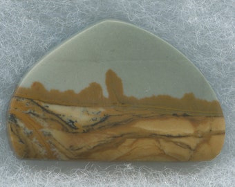 Scenic Gem Owyhee Designer Cabochon from Eastern Oregon