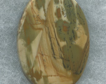 Gem Owyhee Picture Jasper Designer Cabochon from Eastern Oregon