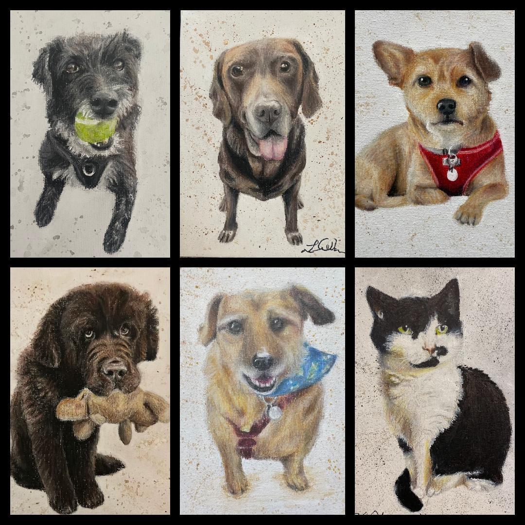 personalisable pet portraits, affordable art, drawings for you, drawing dogs, cats, hamsters, rabbits, horses, birds, cows.. you name it!