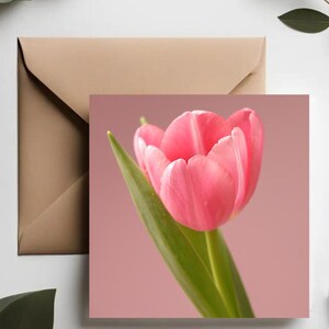 Tulp Wenskaart | Luxe kaarten met bloemen | Roze bloem lente | Rode esdoorn | Blauweregen paars | Botanische groet | Luxe fotokaarten |
