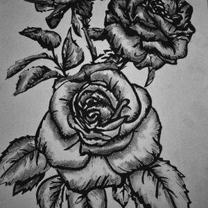 以下が含まれることがあります： 茎と葉のついたバラが3つ描かれた、白黒のインク画。バラは、花びらと葉が細かく描かれた写実的なスタイルで描かれている。