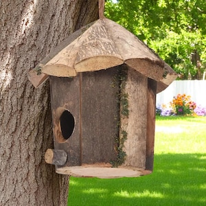 Wooden Bird House Bluebird and Finch Nesting Box, Durable Outdoor Wood Birdhouse for Bird Watching Enthusiasts Gift