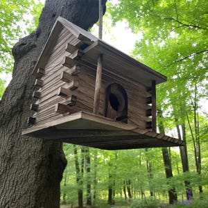 Wooden Bird House Bluebird and Finch Nesting Box, Durable Outdoor Wood Birdhouse for Bird Watching Enthusiasts Gift